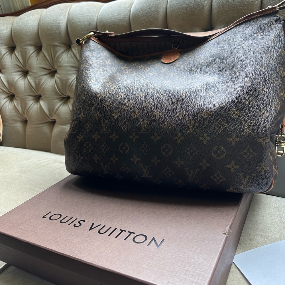 Louis Vuitton Brown Delightful GM Bag